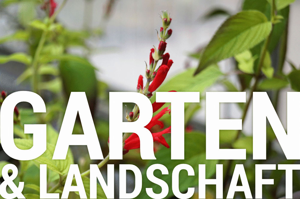 Garten und Landschaft